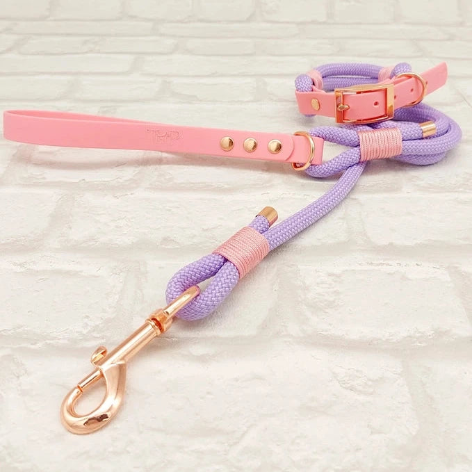 Pink rope outlet dog collar