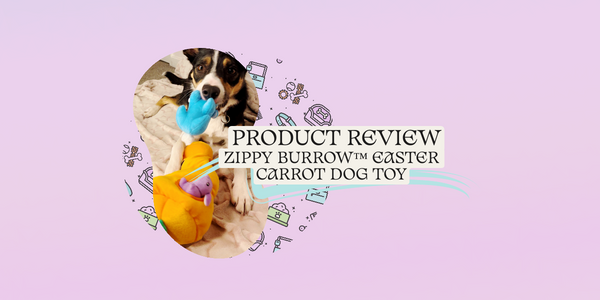 Product Review: Zippy Burrow™ Easter Carrot Dog Toy