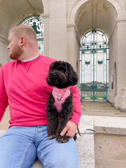 Notting Hill Rosé Adjustable Dog Harness