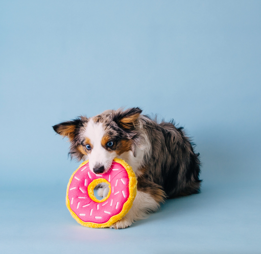 Pink Donut Dog Plush Toy