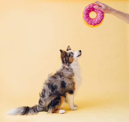 Pink Donut Dog Plush Toy