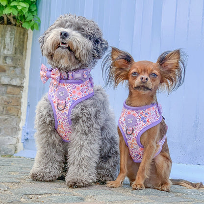 Lilac dog harness best sale