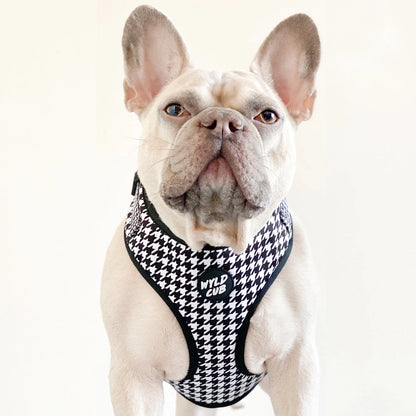 Happy Houndstooth Adjustable Dog Harness