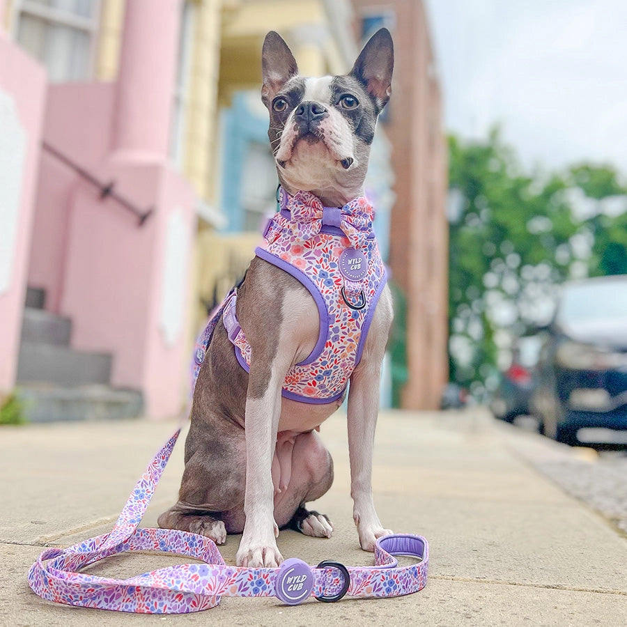 Notting Hill Lilac Adjustable Dog Harness