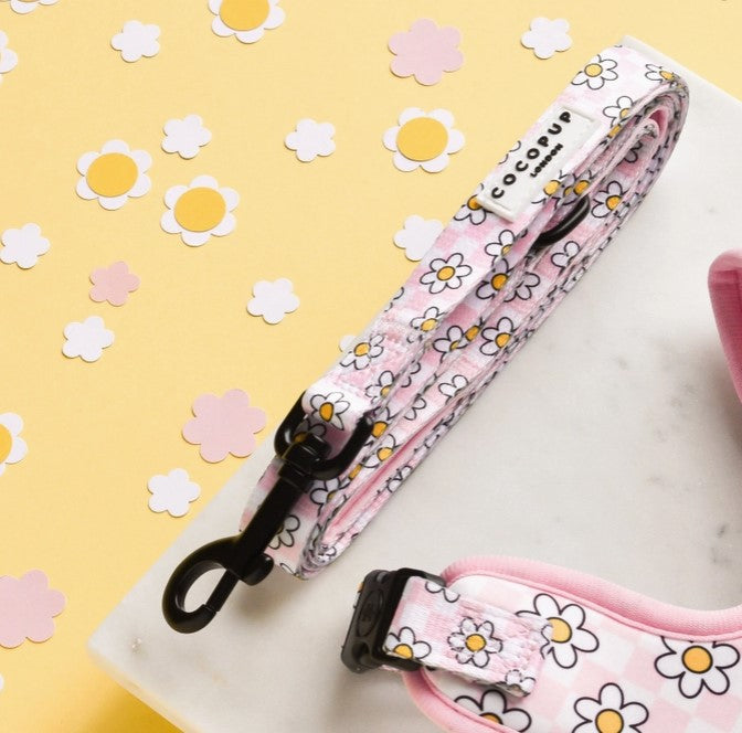 Pink Daisy Gingham Rave Dog Lead