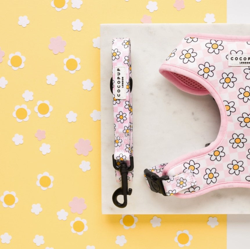 Pink Daisy Gingham Rave Dog Lead