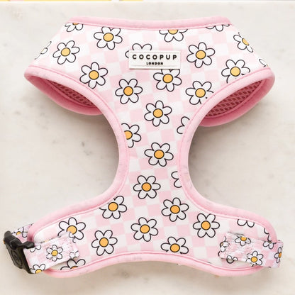 Pink Daisy Gingham Rave Adjustable Neck Dog Harness