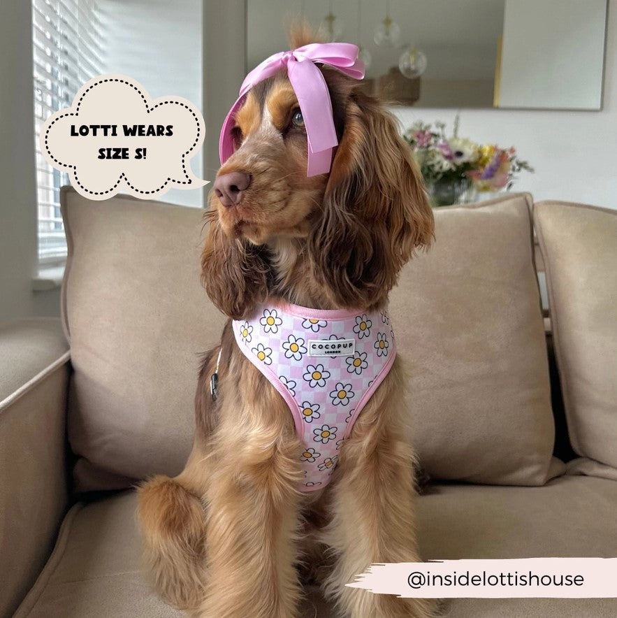 Pink Daisy Gingham Rave Adjustable Neck Dog Harness