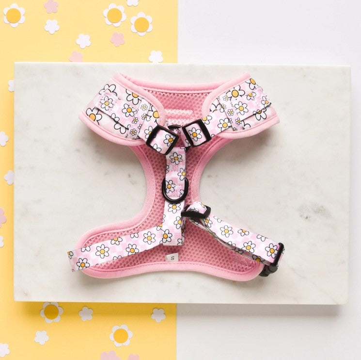 Pink Daisy Gingham Rave Adjustable Neck Dog Harness