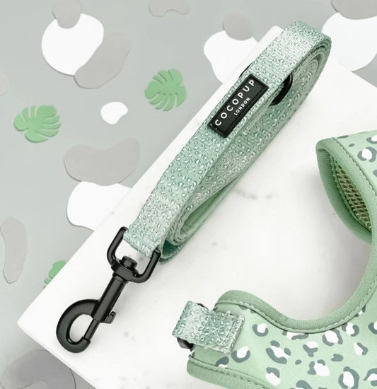 Sage Leopard Dog Lead