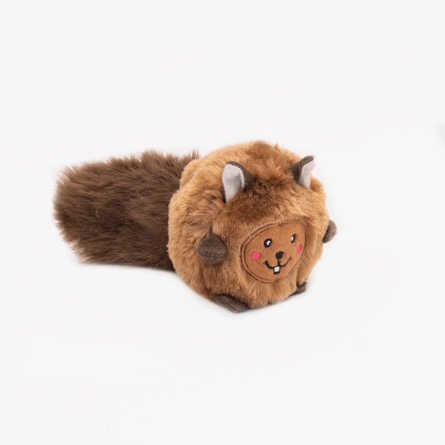 Squirrel Dog Toy